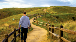 All About Boise Map & Guide